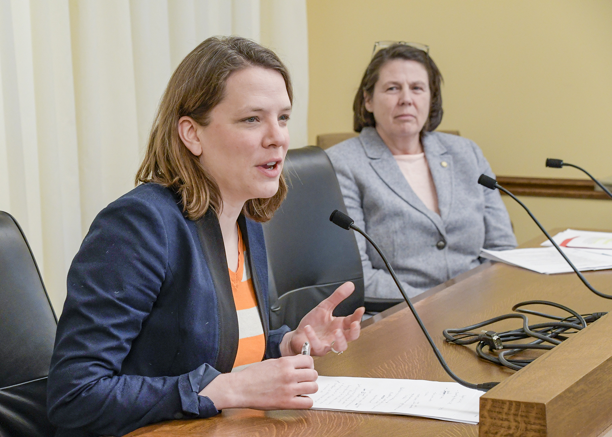 Kate Knuth, climate policy advisor for the Minnesota Center for Environmental Advocacy, testifies Feb. 20 in support of a bill sponsored by Rep. Patty Acomb, right, that would establish various energy grant programs. Photo by Andrew VonBank